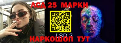шишки Кандалакша