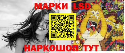 шишки Кандалакша