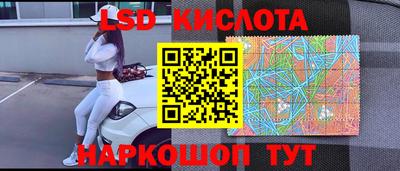 шишки Кандалакша