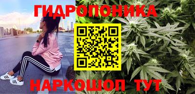 шишки Кандалакша