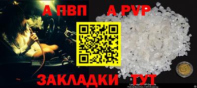 шишки Кандалакша