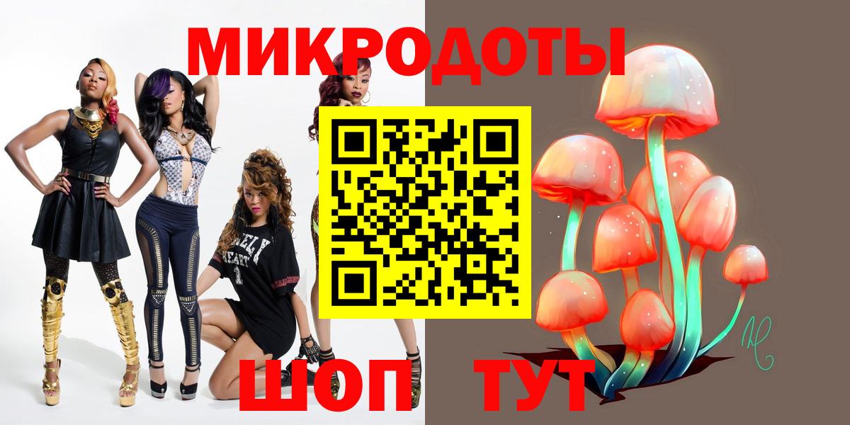 Галлюциногенные грибы Psilocybe Кропоткин
