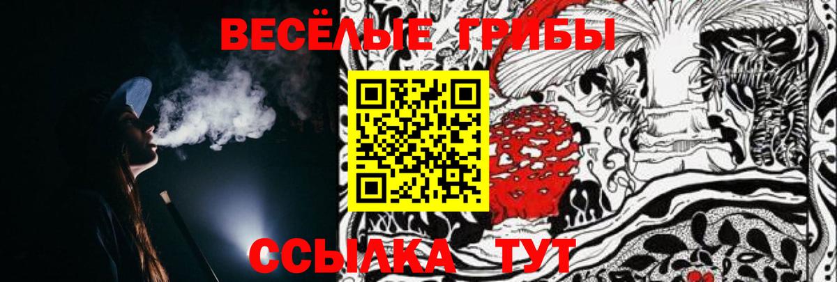 Галлюциногенные грибы Psilocybine cubensis  Вход с VPN  Псилоцибиновые грибы Cubensis  Кропоткин 